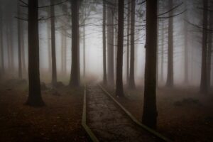 Fright Night Excerpts