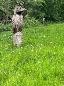 Potteric Carr Nature Reserve